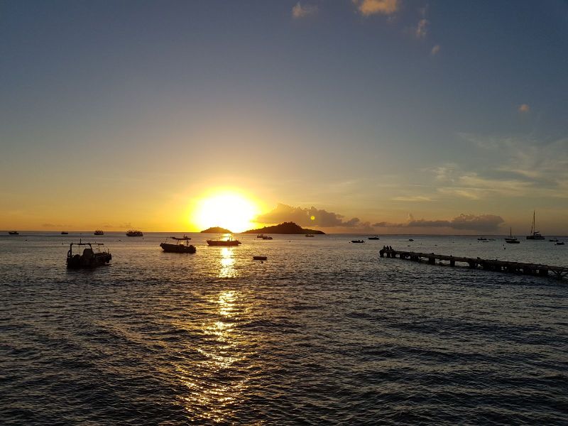 Plongee - Basse Terre - Guadeloupe