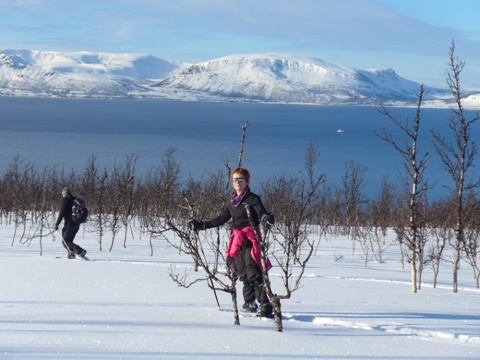 Raid Motoneige Laponie - Aurores Boreales