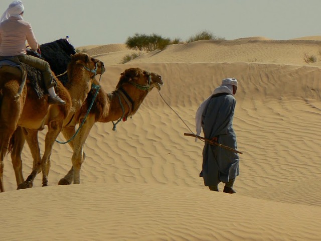 meharee tunisie murmure des dunes05 