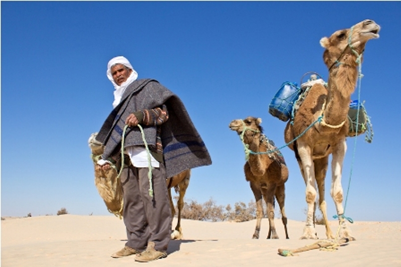 Meharee Tunisie - Murmure des Dunes