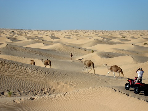 Raid Quad / Buggy Tunisie - Solitude